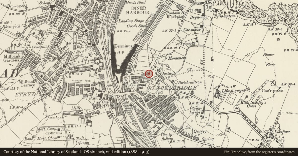 Ordnance Survey six-inch map, 2nd edition (1888–1913) covering the location of Stable Block to Plas Alltran, Holyhead, Isle of Anglesey, with a pin at the register's coordinates