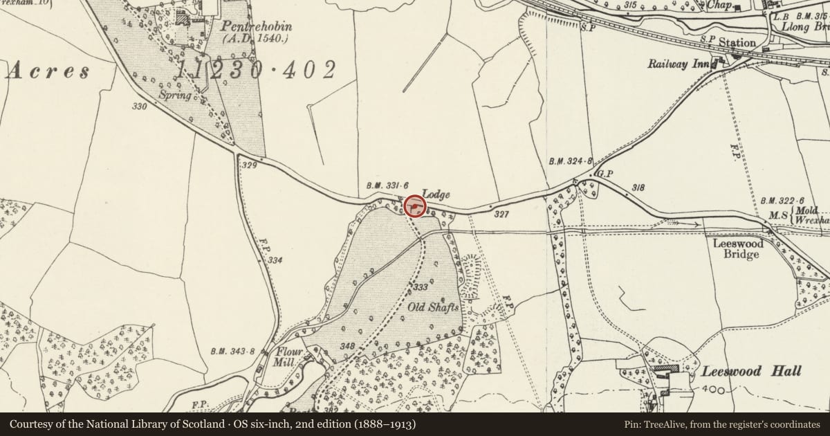 Ordnance Survey six-inch map, 2nd edition (1888–1913) covering the location of Pair of Lodges flanking N driveway to Leeswood Hall, Leeswood and Pontblyddyn, Flintshire, with a pin at the register's coordinates