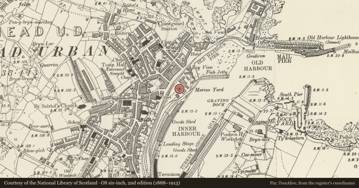 Ordnance Survey six-inch map, 2nd edition (1888–1913) covering the location of Fitting, Boiler and Smithy Shops, Holyhead, Isle of Anglesey, with a pin at the register's coordinates