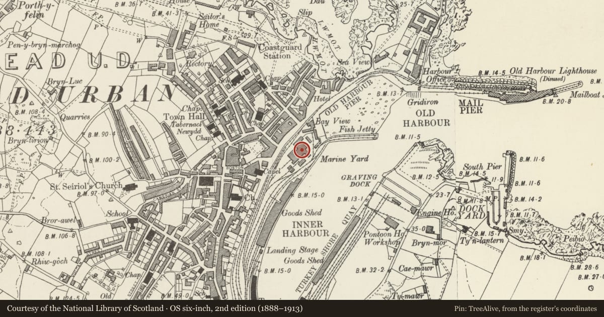 Ordnance Survey six-inch map, 2nd edition (1888–1913) covering the location of Store, Old Boiler Shop & Sawmill buildings at Marine Yard, Holyhead, Isle of Anglesey, with a pin at the register's coordinates