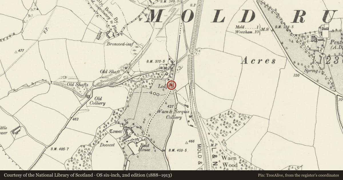 Ordnance Survey six-inch map, 2nd edition (1888–1913) covering the location of Black Gates & Screens at Entrance to the Tower, Nercwys, Flintshire, with a pin at the register's coordinates