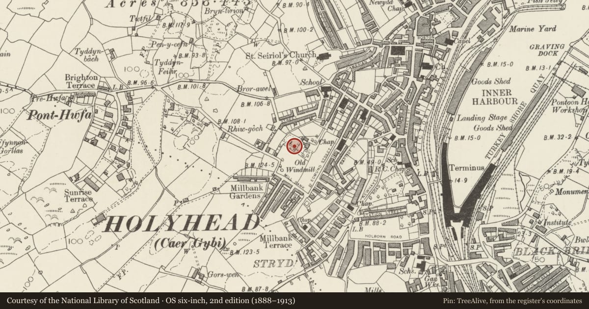 Ordnance Survey six-inch map, 2nd edition (1888–1913) covering the location of Ucheldre Centre (Former Bon Sauveur Convent Chapel), Holyhead, Isle of Anglesey, with a pin at the register's coordinates