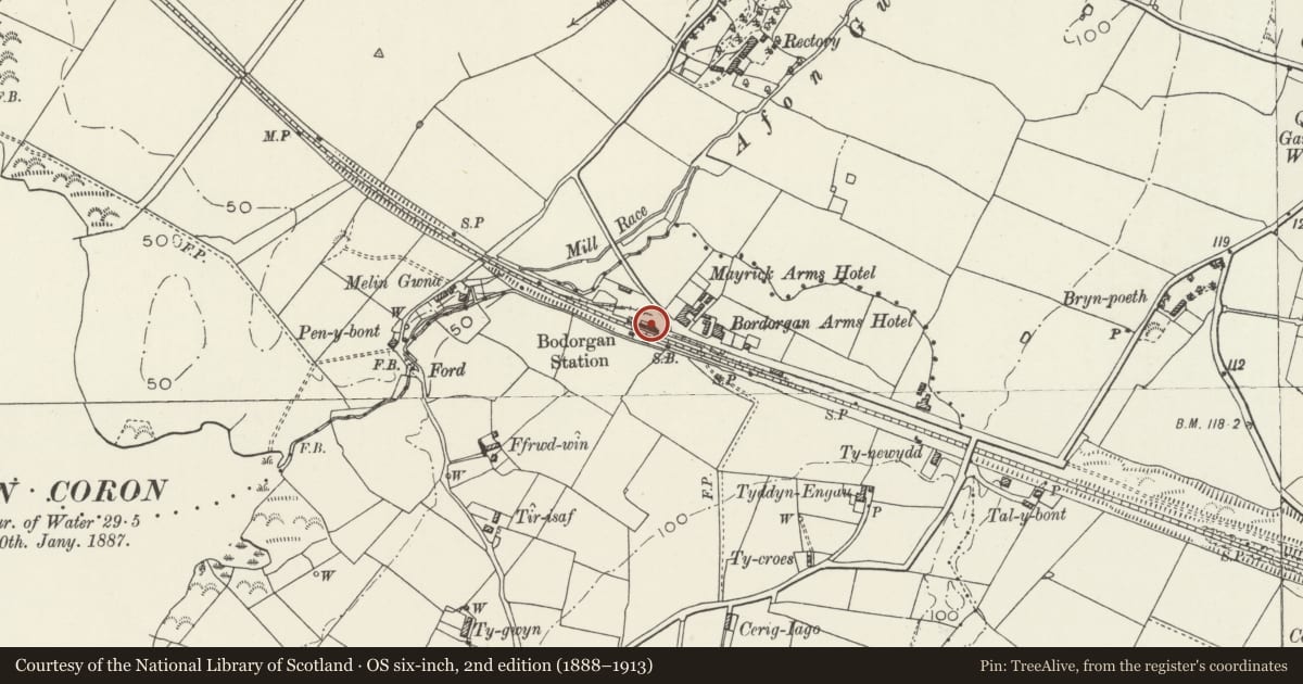 Ordnance Survey six-inch map, 2nd edition (1888–1913) covering the location of Bodorgan Railway Station, main building, Isle of Anglesey, with a pin at the register's coordinates