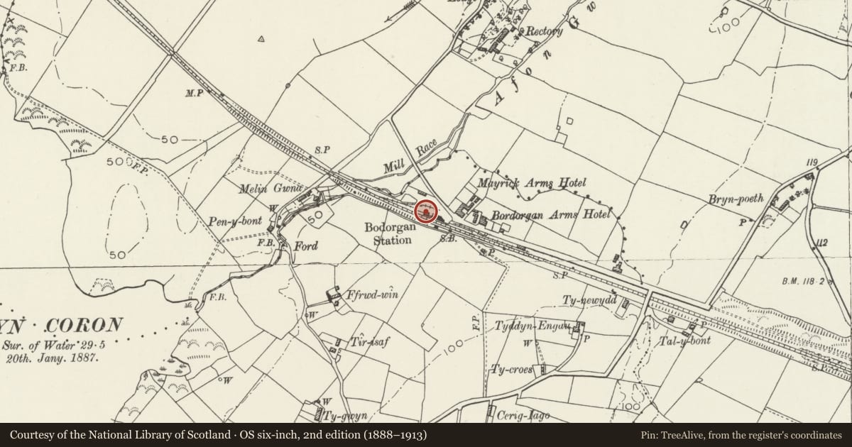 Ordnance Survey six-inch map, 2nd edition (1888–1913) covering the location of Bodorgan Railway Station, goods shed, Isle of Anglesey, with a pin at the register's coordinates