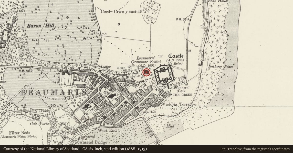 Ordnance Survey six-inch map, 2nd edition (1888–1913) covering the location of David Hughes Community Centre, Beaumaris, Isle of Anglesey, with a pin at the register's coordinates