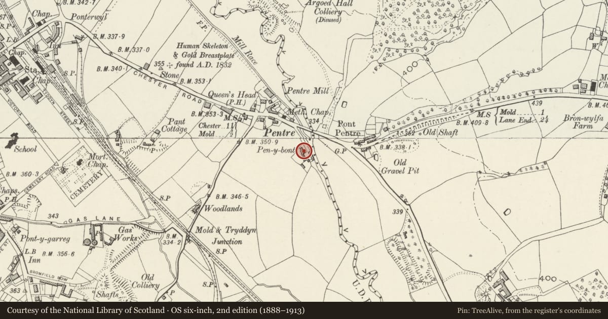 Ordnance Survey six-inch map, 2nd edition (1888–1913) covering the location of Pen-y-Bont Farmhouse, Argoed, Flintshire, with a pin at the register's coordinates