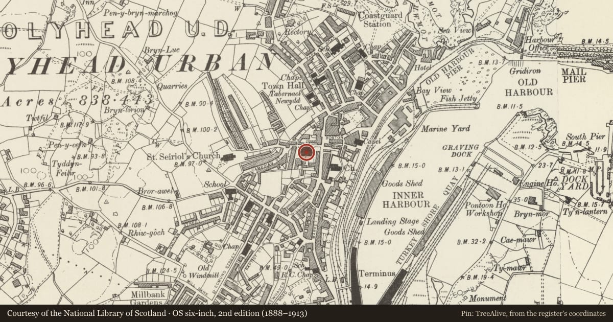 Ordnance Survey six-inch map, 2nd edition (1888–1913) covering the location of Market Hall, Holyhead, Isle of Anglesey, with a pin at the register's coordinates