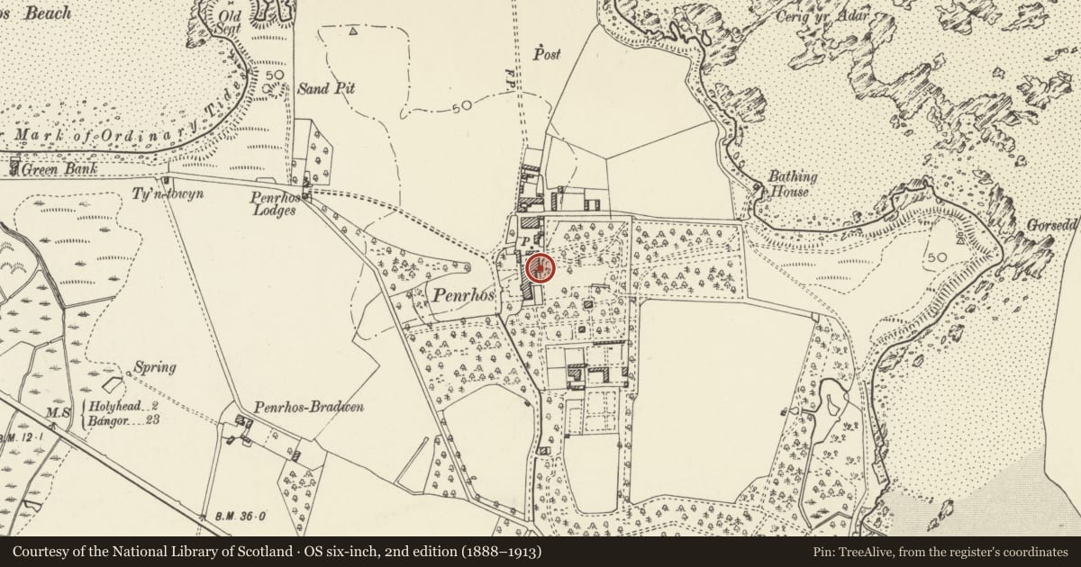 Ordnance Survey six-inch map, 2nd edition (1888–1913) covering the location of Candle Tower and walls adjoining remains of Penrhos House, Holyhead, Isle of Anglesey, with a pin at the register's coordinates