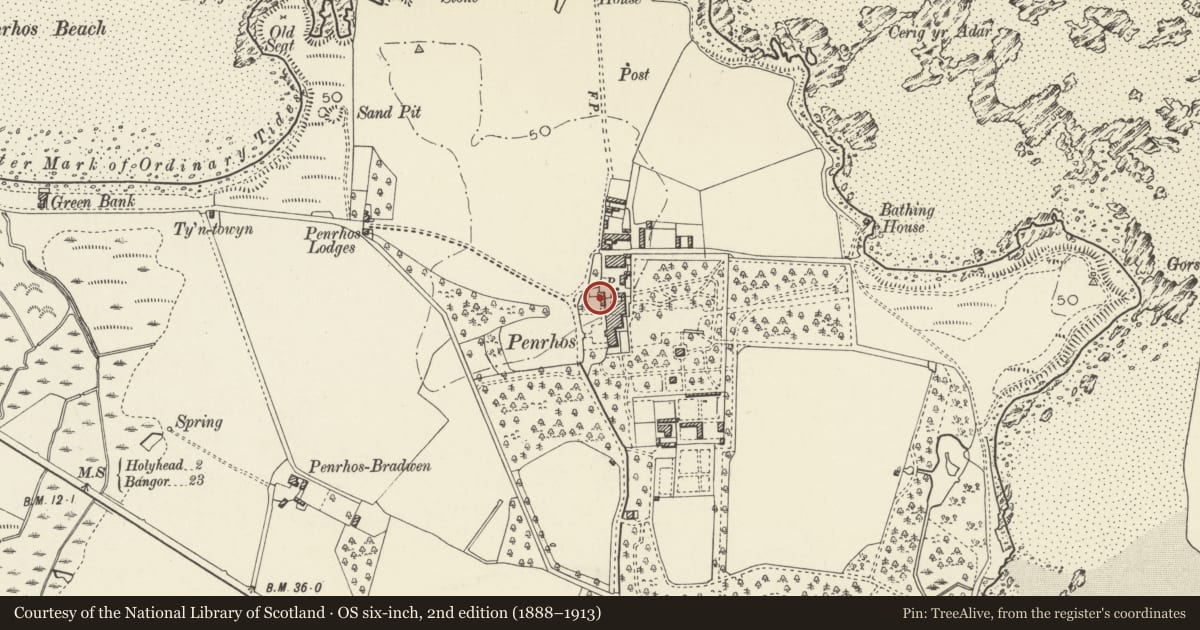 Ordnance Survey six-inch map, 2nd edition (1888–1913) covering the location of Tower, walls and courtyard buildings, Holyhead, Isle of Anglesey, with a pin at the register's coordinates