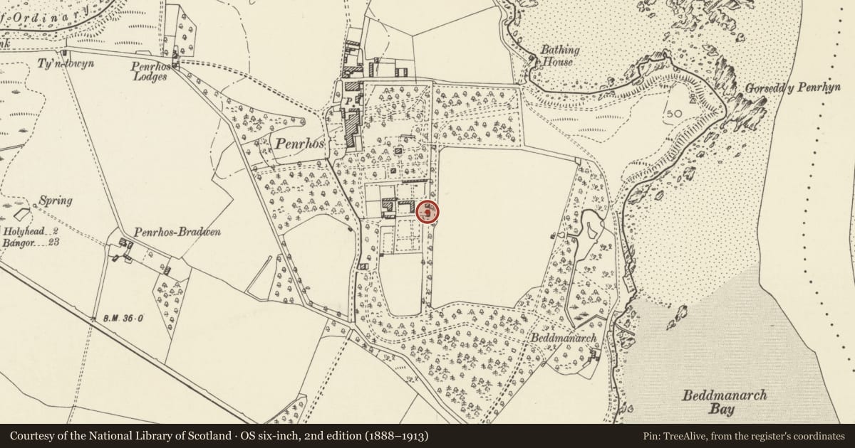 Ordnance Survey six-inch map, 2nd edition (1888–1913) covering the location of Watertower, Holyhead, Isle of Anglesey, with a pin at the register's coordinates