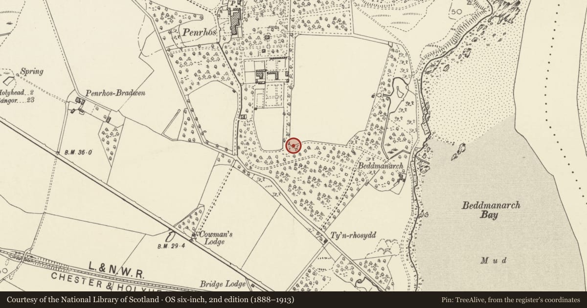 Ordnance Survey six-inch map, 2nd edition (1888–1913) covering the location of The Betting Stand (aka Rotten Tower), Holyhead, Isle of Anglesey, with a pin at the register's coordinates