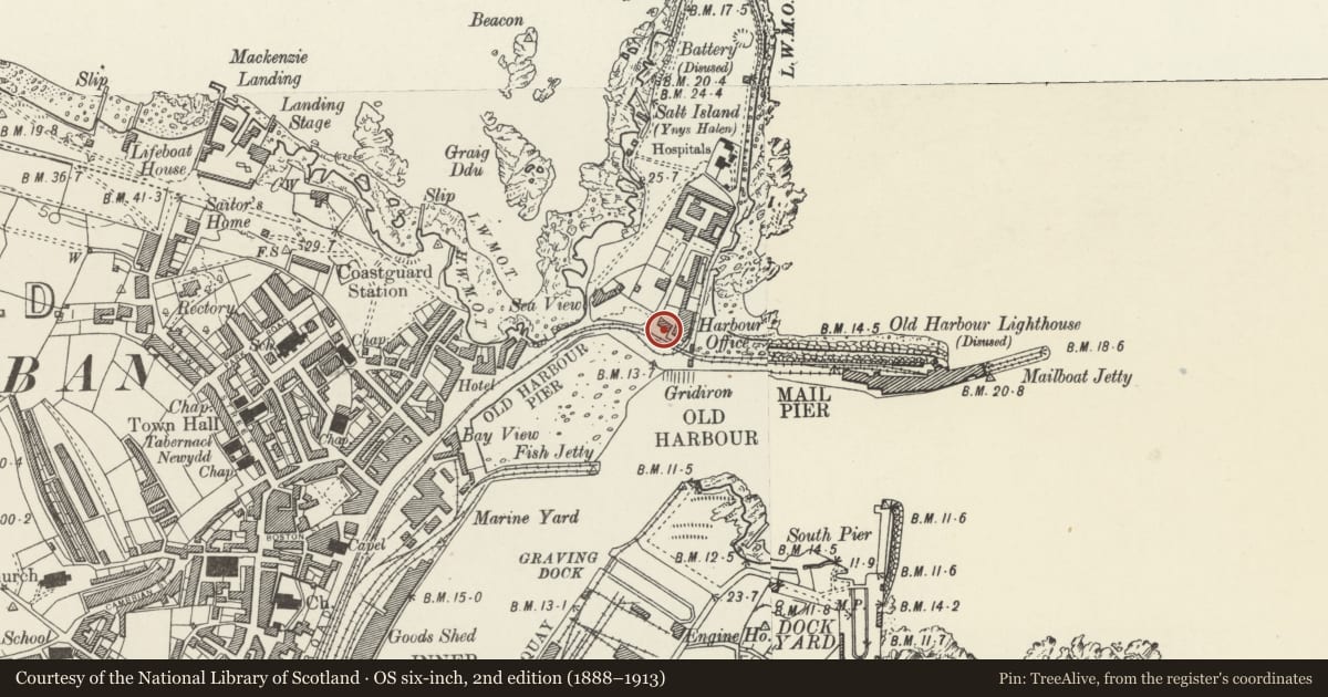 Ordnance Survey six-inch map, 2nd edition (1888–1913) covering the location of Customs House, Holyhead, Isle of Anglesey, with a pin at the register's coordinates