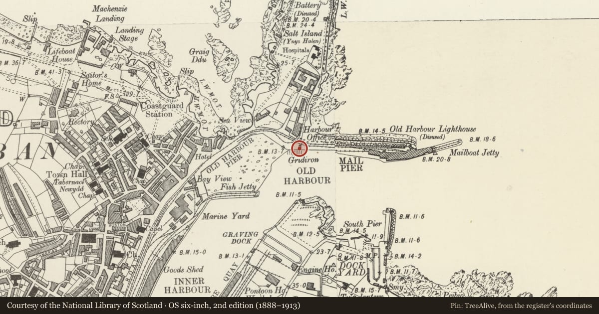 Ordnance Survey six-inch map, 2nd edition (1888–1913) covering the location of George IV Arch, Holyhead, Isle of Anglesey, with a pin at the register's coordinates