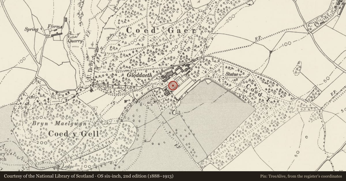 Ordnance Survey six-inch map, 2nd edition (1888–1913) covering the location of Statue of Hercules and pedestal at Gloddaeth Hall, Llandudno, Conwy, with a pin at the register's coordinates