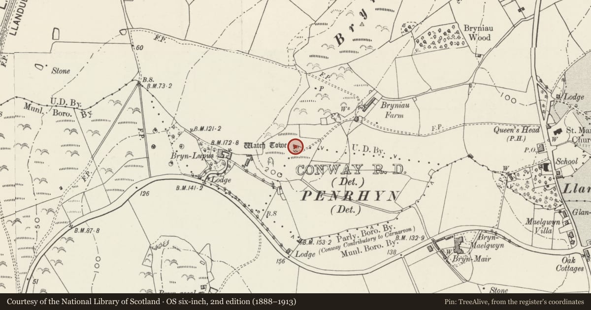 Ordnance Survey six-inch map, 2nd edition (1888–1913) covering the location of Bryniau Tower, Llandudno, Conwy, with a pin at the register's coordinates