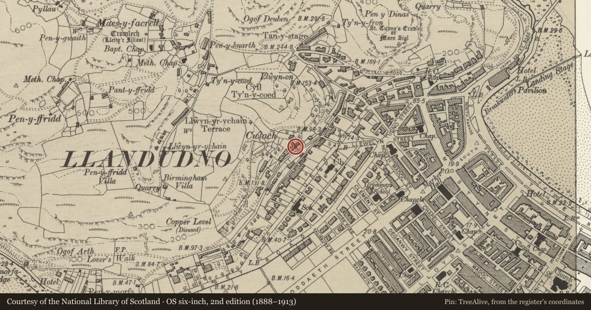 Ordnance Survey six-inch map, 2nd edition (1888–1913) covering the location of Elwy, Llandudno, Conwy, with a pin at the register's coordinates