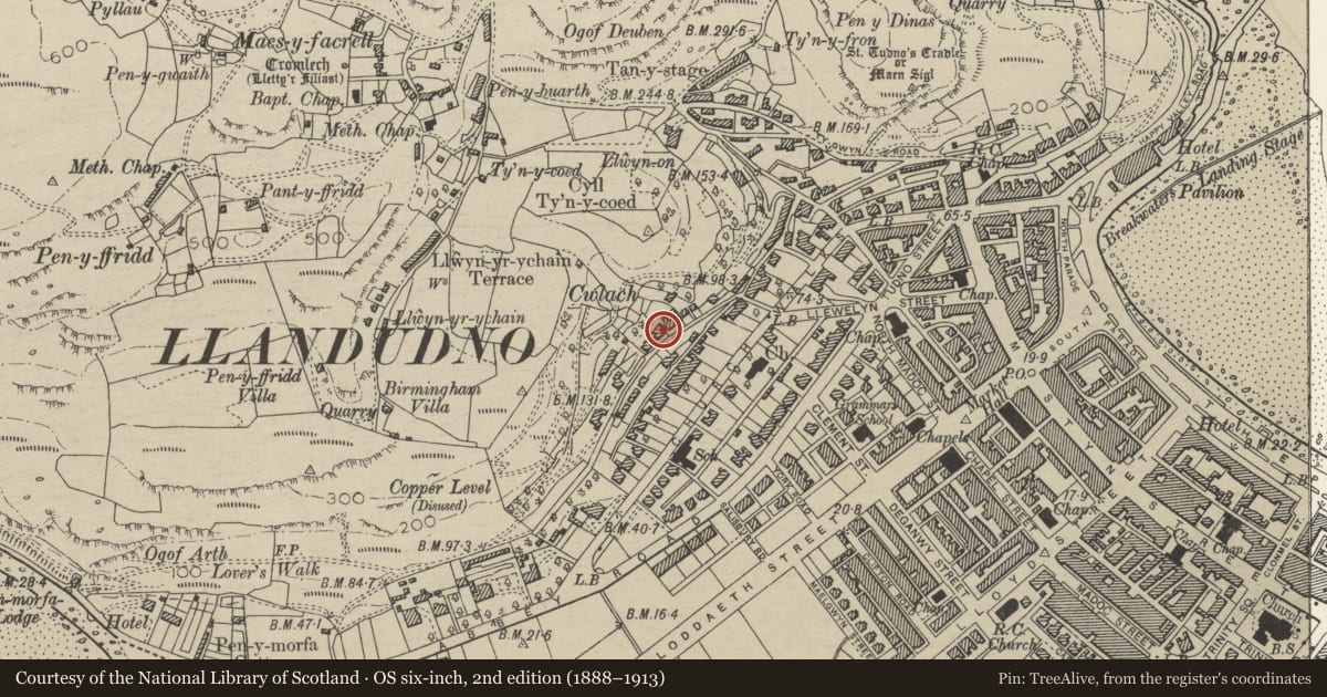 Ordnance Survey six-inch map, 2nd edition (1888–1913) covering the location of 6 Cwlach Road, Llandudno, Conwy, with a pin at the register's coordinates