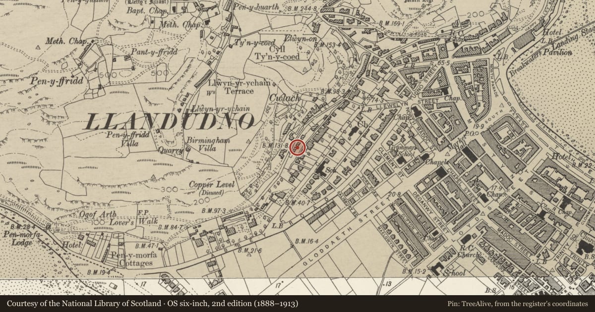Ordnance Survey six-inch map, 2nd edition (1888–1913) covering the location of 11 Cwlach Street, Llandudno, Conwy, with a pin at the register's coordinates