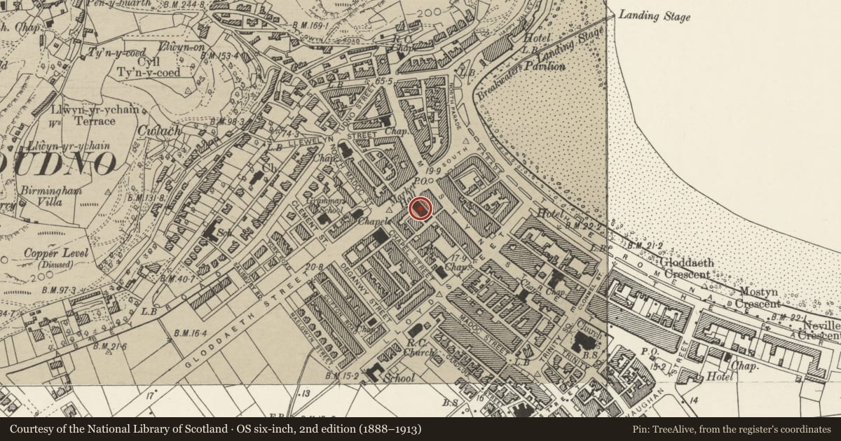 Ordnance Survey six-inch map, 2nd edition (1888–1913) covering the location of Palladium, including shops in rear facing Market Street, Llandudno, Conwy, with a pin at the register's coordinates