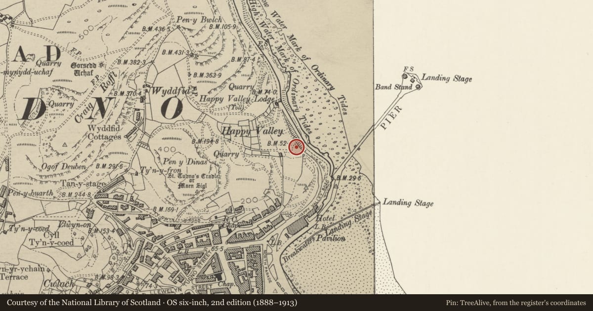 Ordnance Survey six-inch map, 2nd edition (1888–1913) covering the location of Lamp Standard, Llandudno, Conwy, with a pin at the register's coordinates