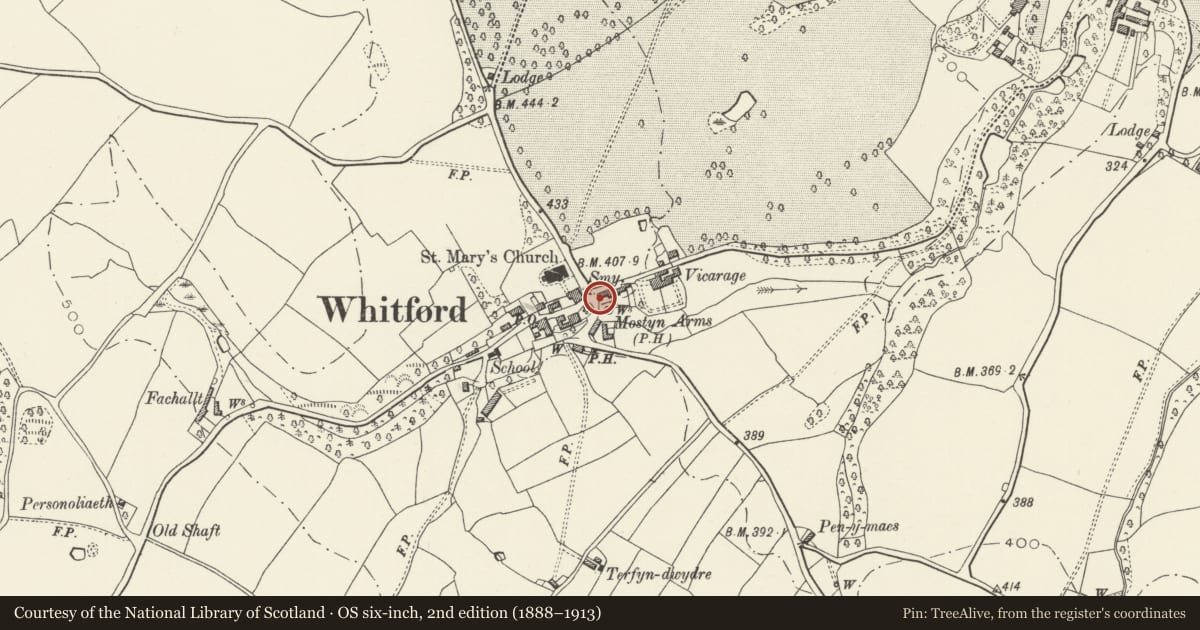 Ordnance Survey six-inch map, 2nd edition (1888–1913) covering the location of Telephone Call-box, Whitford, Flintshire, with a pin at the register's coordinates