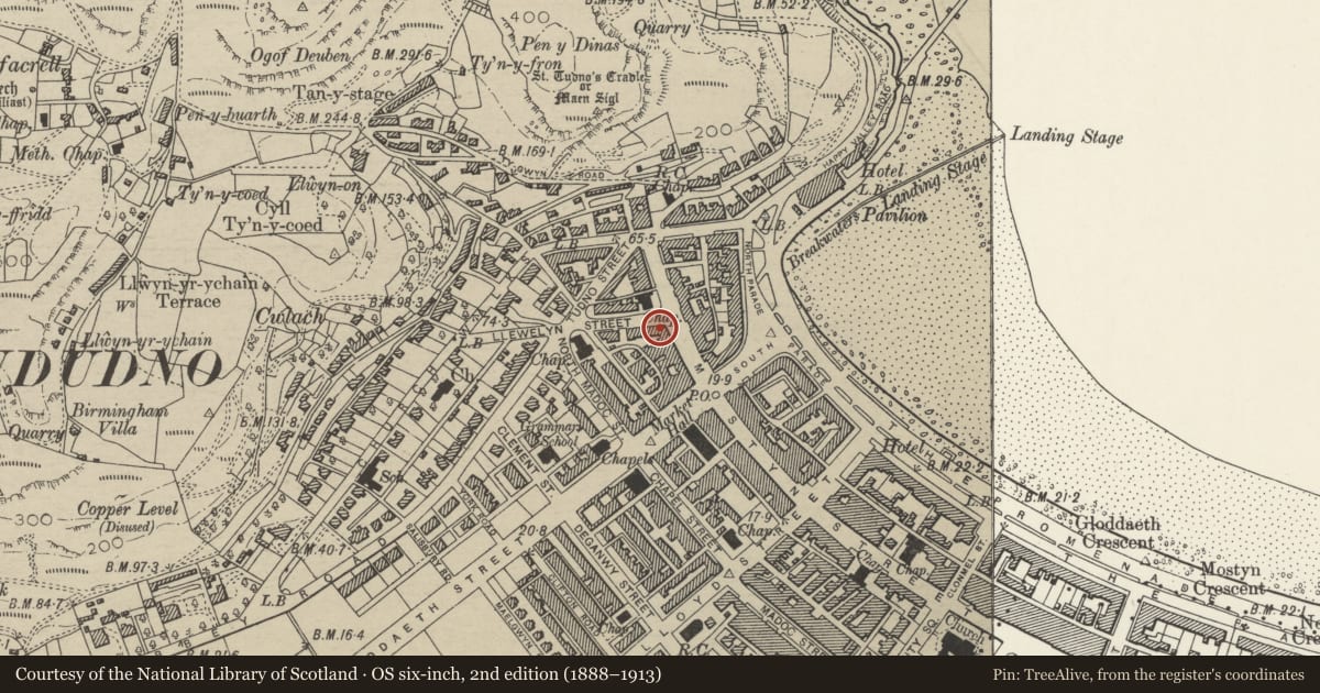Ordnance Survey six-inch map, 2nd edition (1888–1913) covering the location of 1 Llewelyn Avenue, Llandudno, Conwy, with a pin at the register's coordinates