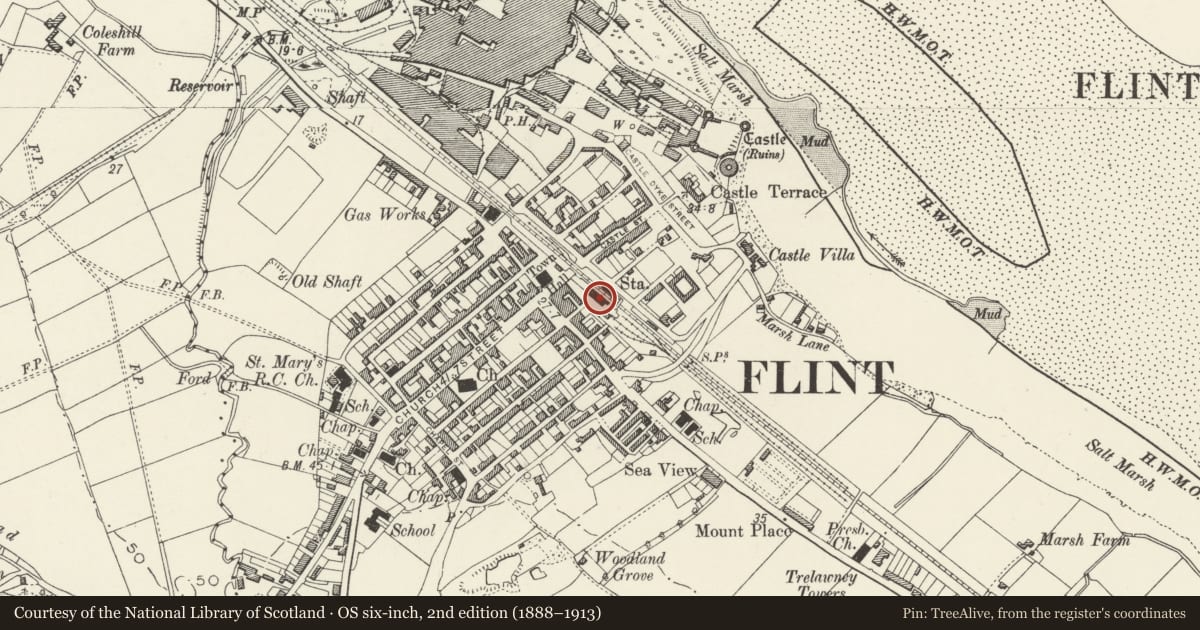 Ordnance Survey six-inch map, 2nd edition (1888–1913) covering the location of Flint Railway Station, Flintshire, with a pin at the register's coordinates