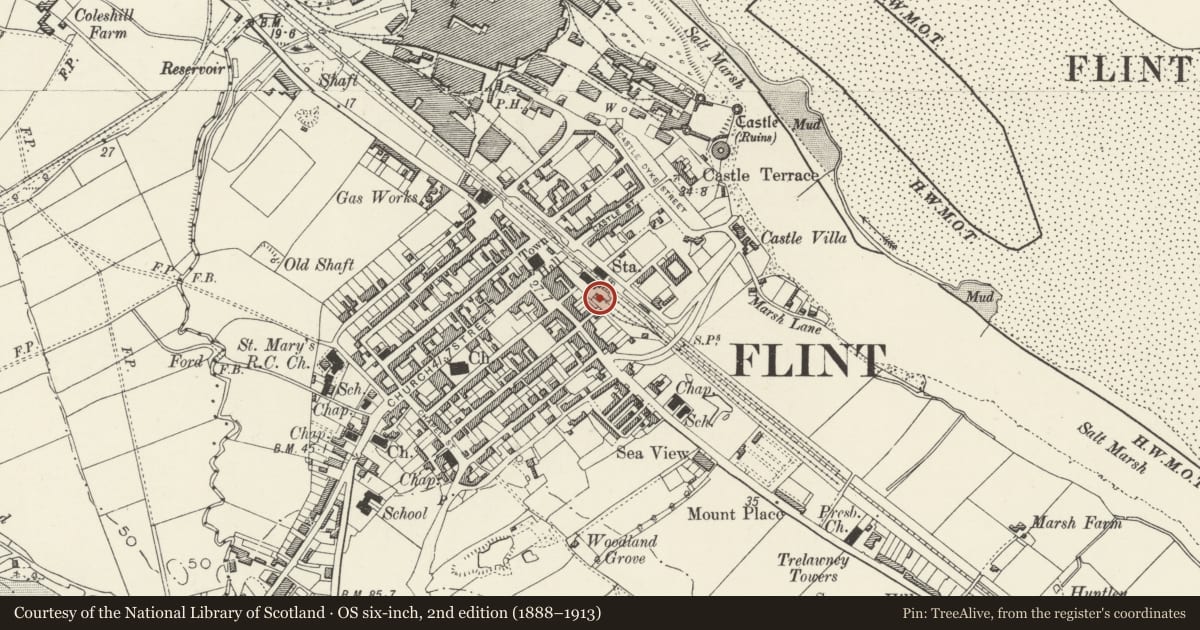 Ordnance Survey six-inch map, 2nd edition (1888–1913) covering the location of Railway Goods Shed, Flint, Flintshire, with a pin at the register's coordinates
