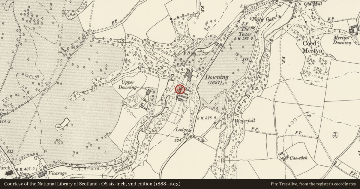 Ordnance Survey six-inch map, 2nd edition (1888–1913) covering the location of Main Range to W side of former Stable Courtyard at Downing Hall, Whitford, Flintshire, with a pin at the register's coordinates