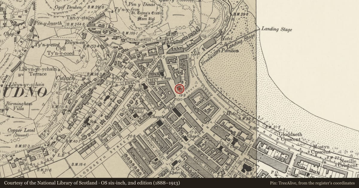 Ordnance Survey six-inch map, 2nd edition (1888–1913) covering the location of 125 Mostyn Street, including verandah, Llandudno, Conwy, with a pin at the register's coordinates