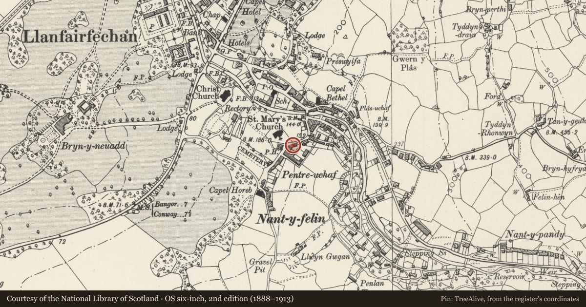 Ordnance Survey six-inch map, 2nd edition (1888–1913) covering the location of Carreg Wen, Llanfairfechan, Conwy, with a pin at the register's coordinates