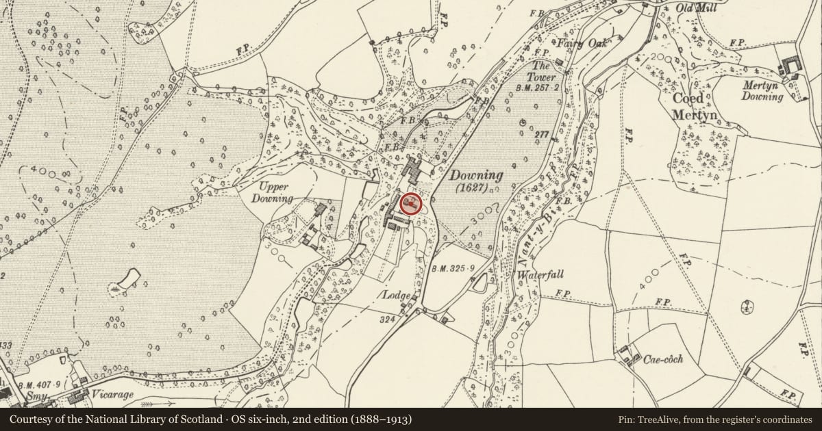 Ordnance Survey six-inch map, 2nd edition (1888–1913) covering the location of Former Coach House Range at Downing Hall, Whitford, Flintshire, with a pin at the register's coordinates