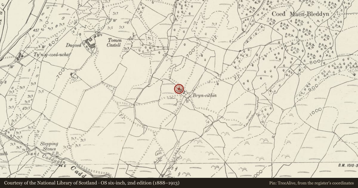 Ordnance Survey six-inch map, 2nd edition (1888–1913) covering the location of Bryn Eithin & attached Agricultural Ranges, Bro Machno, Conwy, with a pin at the register's coordinates