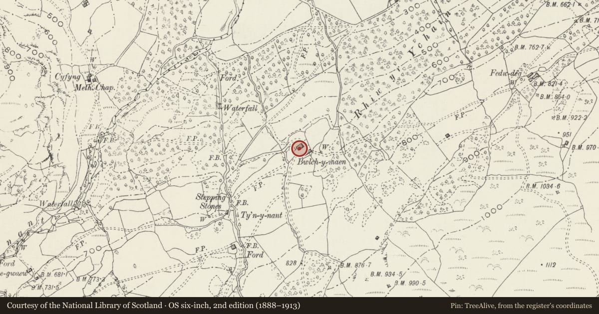 Ordnance Survey six-inch map, 2nd edition (1888–1913) covering the location of Bwlch-y-Maen, Bro Machno, Conwy, with a pin at the register's coordinates