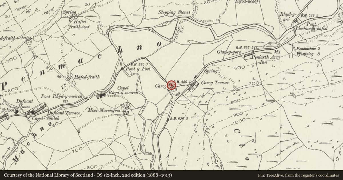 Ordnance Survey six-inch map, 2nd edition (1888–1913) covering the location of Carrog, Bro Machno, Conwy, with a pin at the register's coordinates