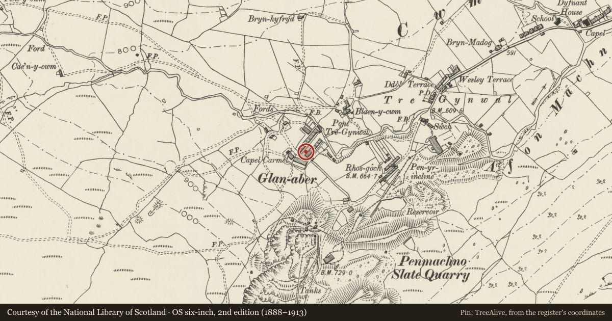 Ordnance Survey six-inch map, 2nd edition (1888–1913) covering the location of 1 Rhiw Fach Terrace, Bro Machno, Conwy, with a pin at the register's coordinates