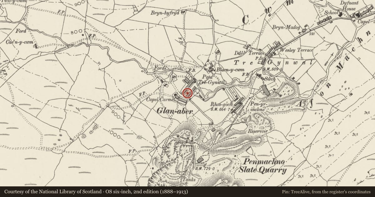 Ordnance Survey six-inch map, 2nd edition (1888–1913) covering the location of 3 Rhiw Fach Terrace, Bro Machno, Conwy, with a pin at the register's coordinates