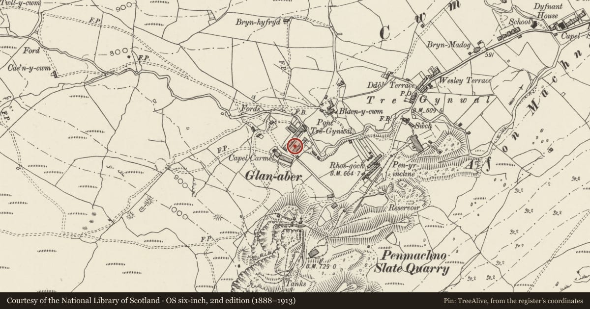 Ordnance Survey six-inch map, 2nd edition (1888–1913) covering the location of 4 Rhiw Fach Terrace, Bro Machno, Conwy, with a pin at the register's coordinates