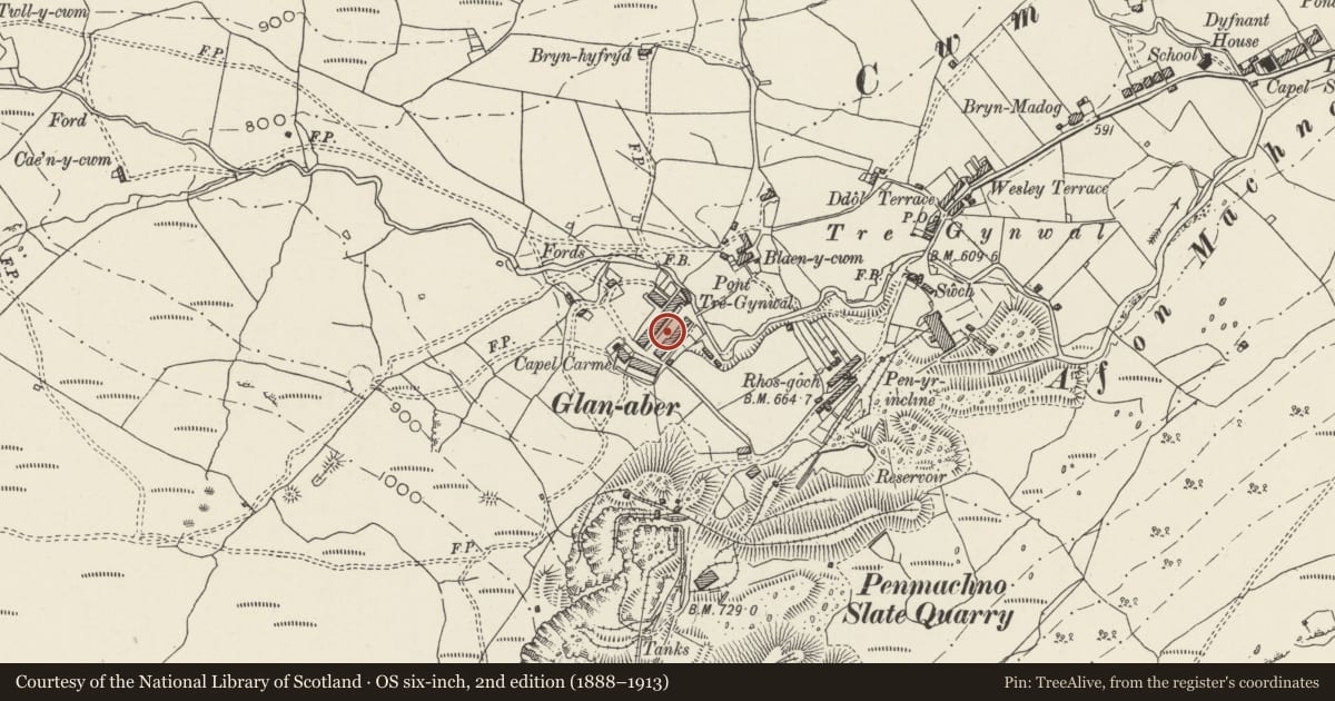 Ordnance Survey six-inch map, 2nd edition (1888–1913) covering the location of 5 Rhiw Fach Terrace, Bro Machno, Conwy, with a pin at the register's coordinates