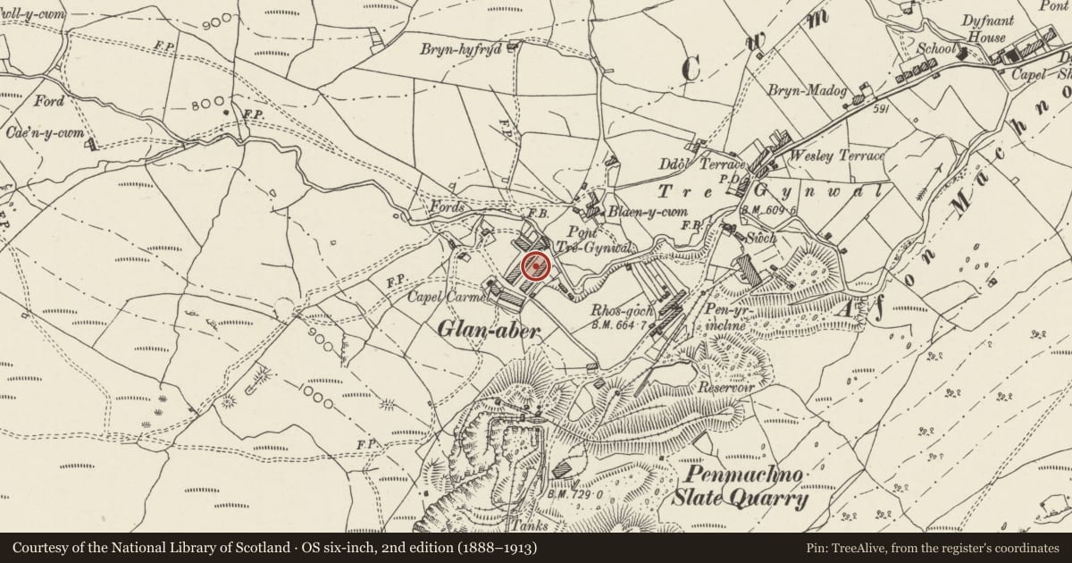 Ordnance Survey six-inch map, 2nd edition (1888–1913) covering the location of 6 Rhiw Fach Terrace, Bro Machno, Conwy, with a pin at the register's coordinates