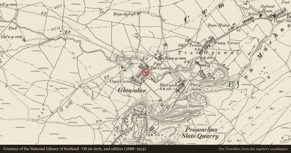 Ordnance Survey six-inch map, 2nd edition (1888–1913) covering the location of 7 Rhiw Fach Terrace, Bro Machno, Conwy, with a pin at the register's coordinates