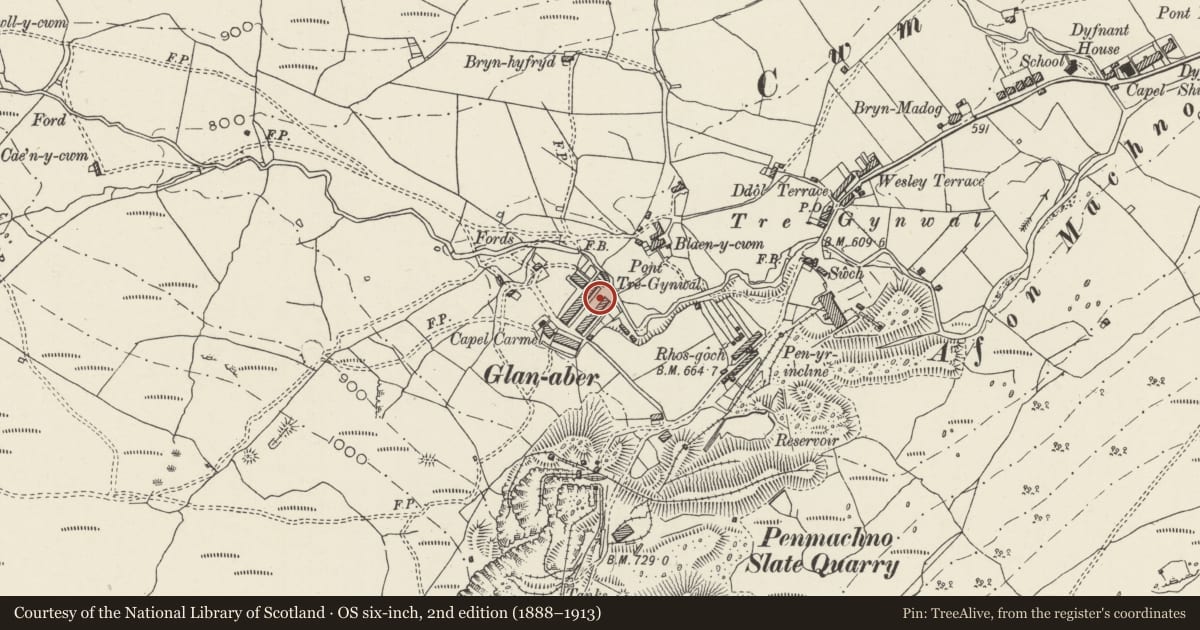 Ordnance Survey six-inch map, 2nd edition (1888–1913) covering the location of 8 Rhiw Fach Terrace, Bro Machno, Conwy, with a pin at the register's coordinates