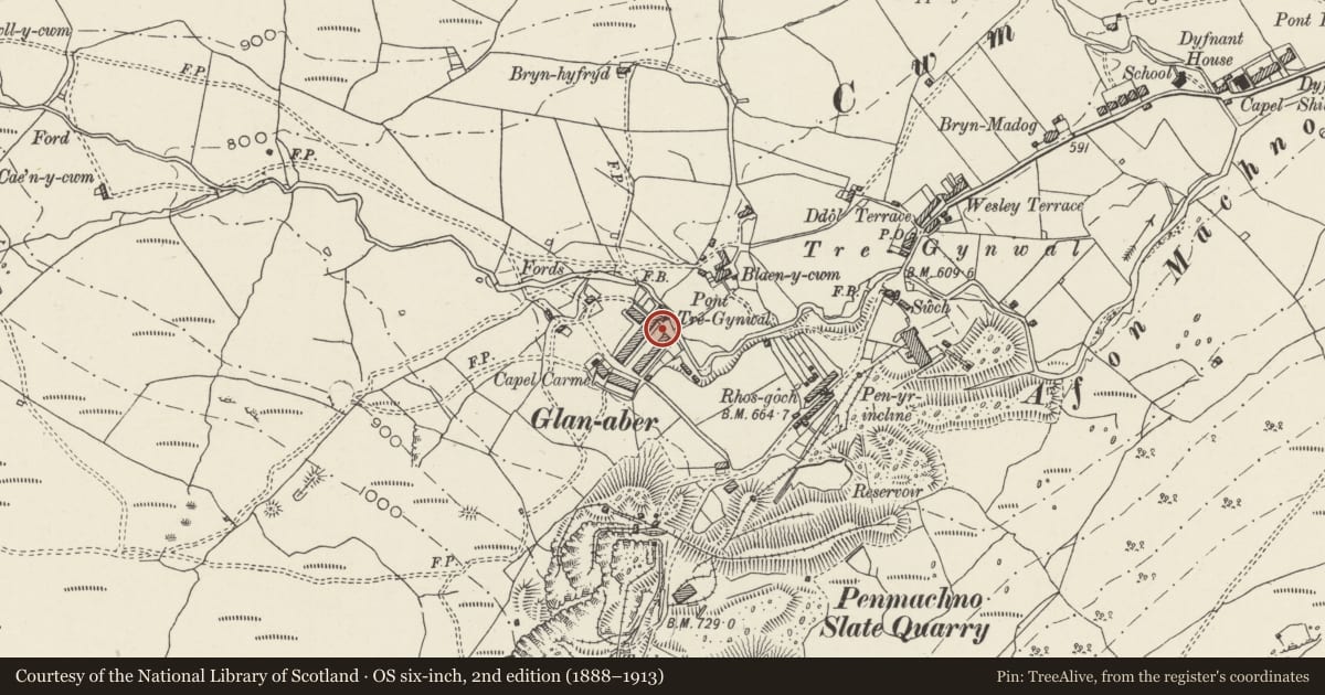 Ordnance Survey six-inch map, 2nd edition (1888–1913) covering the location of 10 Rhiw Fach Terrace, Bro Machno, Conwy, with a pin at the register's coordinates