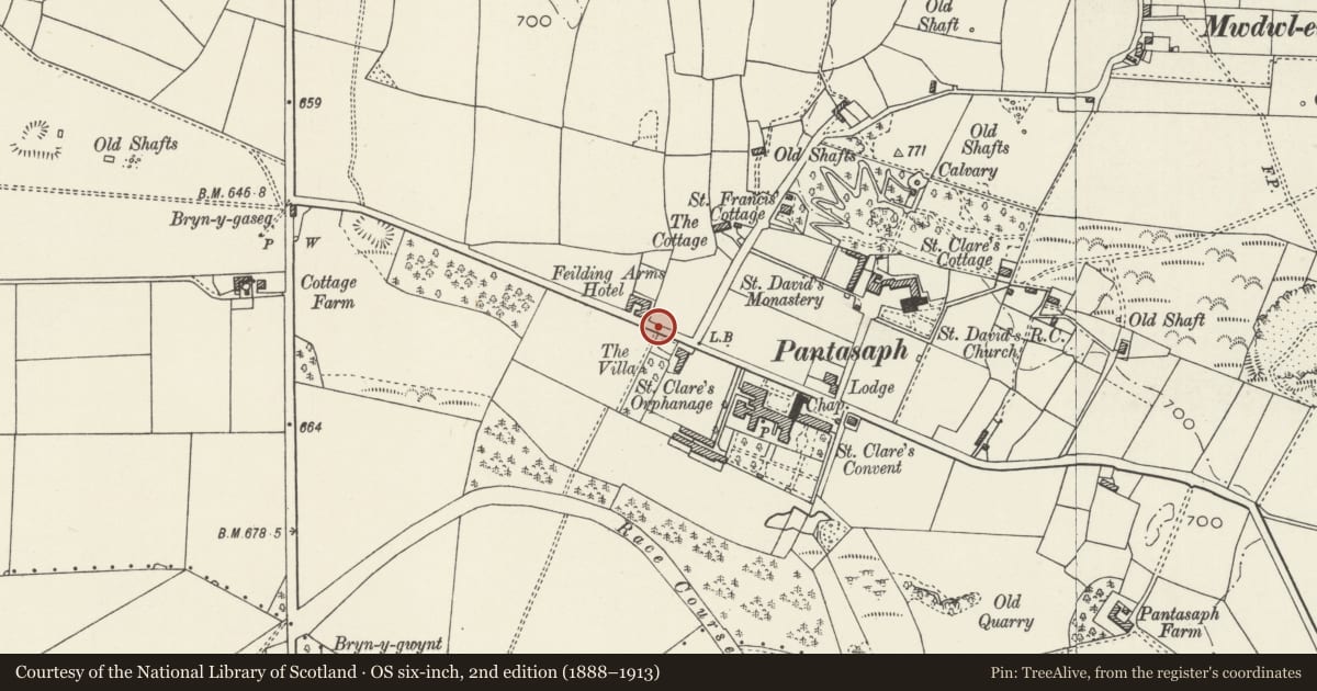 Ordnance Survey six-inch map, 2nd edition (1888–1913) covering the location of Telephone Call-box, Whitford, Flintshire, with a pin at the register's coordinates