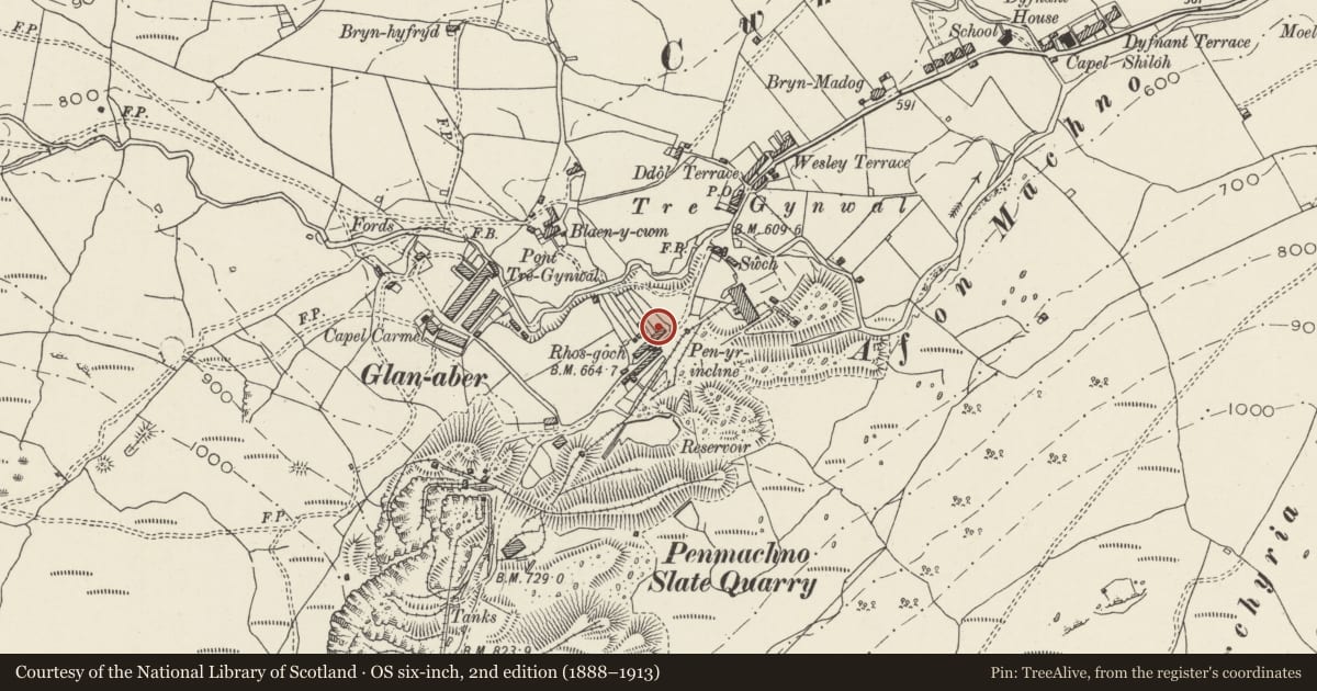 Ordnance Survey six-inch map, 2nd edition (1888–1913) covering the location of 1 Rhos Goch, Bro Machno, Conwy, with a pin at the register's coordinates