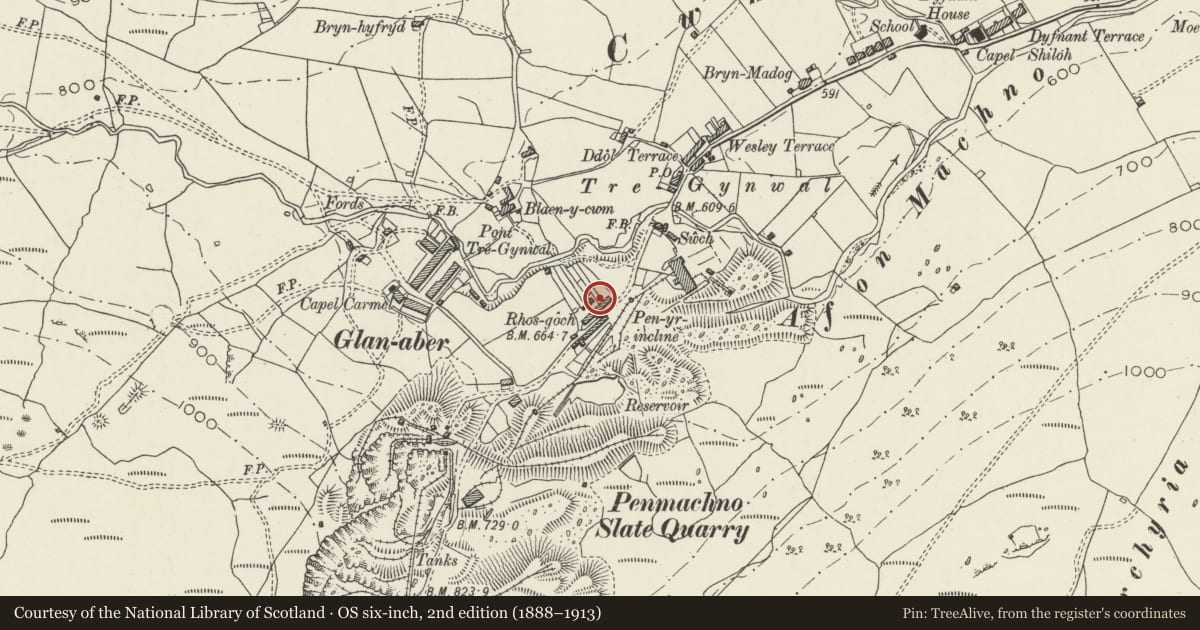 Ordnance Survey six-inch map, 2nd edition (1888–1913) covering the location of 2 Rhos Goch, Bro Machno, Conwy, with a pin at the register's coordinates