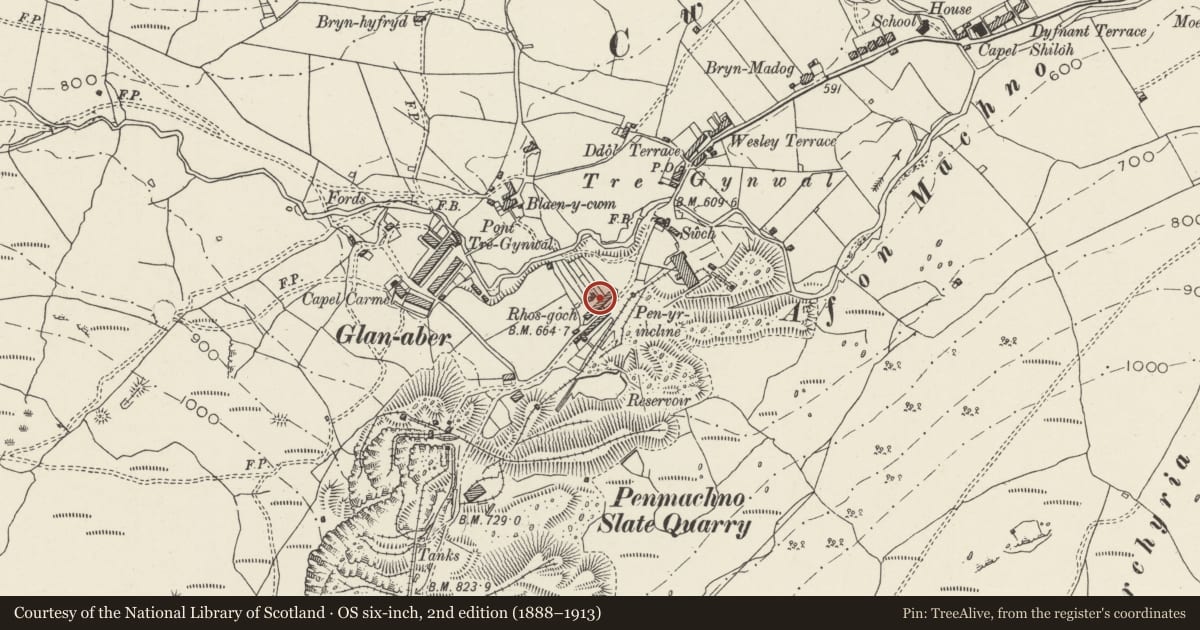 Ordnance Survey six-inch map, 2nd edition (1888–1913) covering the location of 3 Rhos Goch, Bro Machno, Conwy, with a pin at the register's coordinates