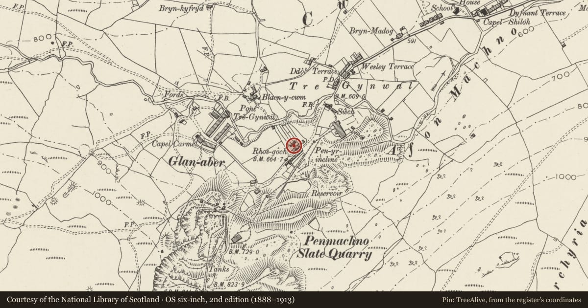 Ordnance Survey six-inch map, 2nd edition (1888–1913) covering the location of 5 Rhos Goch, Bro Machno, Conwy, with a pin at the register's coordinates