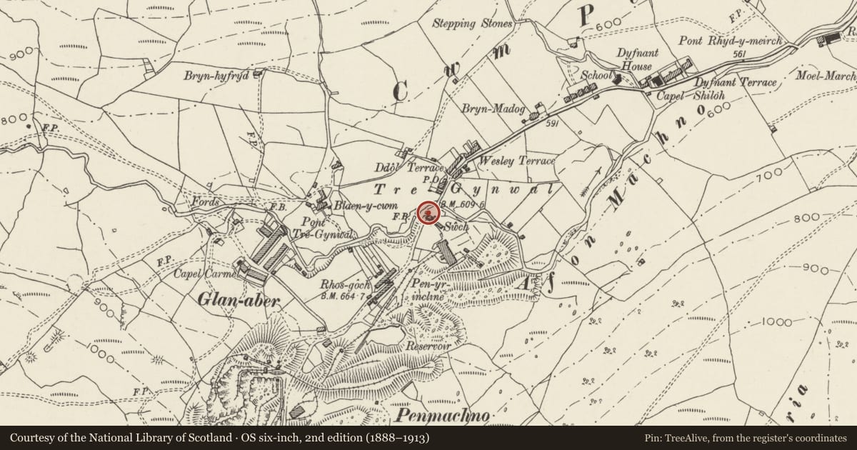 Ordnance Survey six-inch map, 2nd edition (1888–1913) covering the location of Swch, Bro Machno, Conwy, with a pin at the register's coordinates