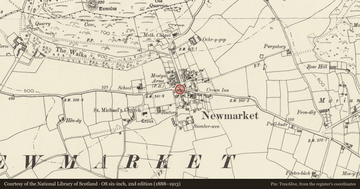 Ordnance Survey six-inch map, 2nd edition (1888–1913) covering the location of Telephone Call-box, Trelawnyd and Gwaenysgor, Flintshire, with a pin at the register's coordinates